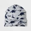 Boys' Dino Beanie & Neck Gaiter - Cat & Jack™ Gray