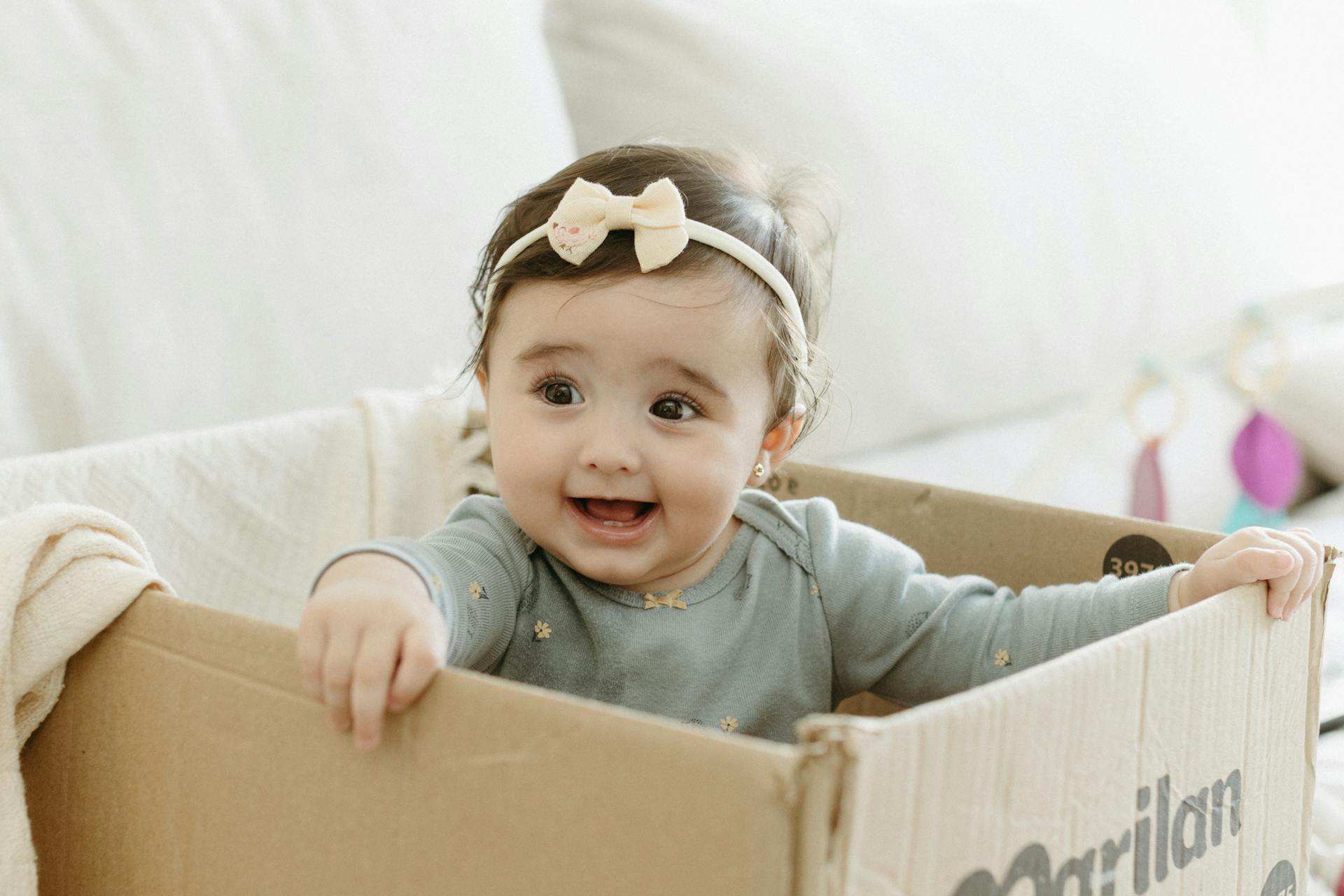 CAT & JACK Shop -CAT & JACK Shop pexels jonathanborba 26509791